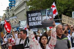 Dominion Animal Rights March 2025 - Photos taken at the Dominion Animal Rights March in 2025, where activists and members of the public marched in the Melbourne CBD for animals exploited within Australia and across the world. - Captured at VIC.