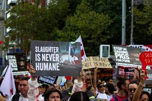 Dominion Animal Rights March 2025 - Photos taken at the Dominion Animal Rights March in 2025, where activists and members of the public marched in the Melbourne CBD for animals exploited within Australia and across the world. - Captured at VIC.