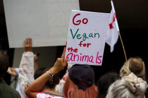 Dominion Animal Rights March 2025 - Photos taken at the Dominion Animal Rights March in 2025, where activists and members of the public marched in the Melbourne CBD for animals exploited within Australia and across the world. - Captured at VIC.