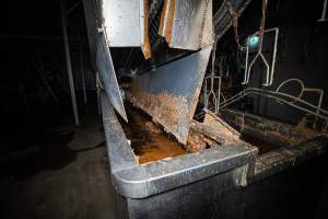 Shackle line and scalding tank - Captured at Tinder Creek Duck Abattoir, Tennyson NSW Australia.