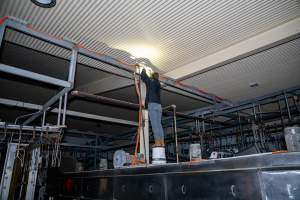Investigator looks for places to install cameras - Captured at Tinder Creek Duck Abattoir, Tennyson NSW Australia.