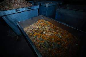 Organs and egg yolks in bin outside slaughterhouse - Captured at E.T Chicken Processing, Llandilo NSW Australia.