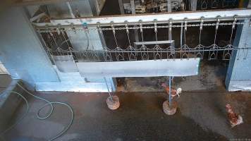 Chickens loose on kill floor after kill day is over - Captured at E.T Chicken Processing, Llandilo NSW Australia.