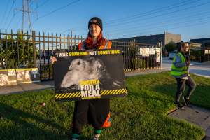 Melbourne Chicken Save Vigil - April 2025 - Memorial vigil in loving memory of Liz Dealey founder of Melbourne Chicken Save and Melbourne Chicken Rescue. - Captured at La Ionica Poultry, Thomastown VIC Australia.