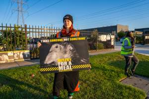 Melbourne Chicken Save Vigil - April 2025 - Memorial vigil in loving memory of Liz Dealey founder of Melbourne Chicken Save and Melbourne Chicken Rescue. - Captured at La Ionica Poultry, Thomastown VIC Australia.