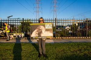 Melbourne Chicken Save Vigil - April 2025 - Memorial vigil in loving memory of Liz Dealey founder of Melbourne Chicken Save and Melbourne Chicken Rescue. - Captured at La Ionica Poultry, Thomastown VIC Australia.