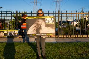 Melbourne Chicken Save Vigil - April 2025 - Memorial vigil in loving memory of Liz Dealey founder of Melbourne Chicken Save and Melbourne Chicken Rescue. - Captured at La Ionica Poultry, Thomastown VIC Australia.