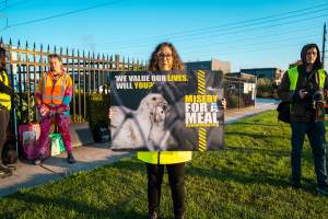 Melbourne Chicken Save Vigil - April 2025 - Memorial vigil in loving memory of Liz Dealey founder of Melbourne Chicken Save and Melbourne Chicken Rescue. - Captured at La Ionica Poultry, Thomastown VIC Australia.