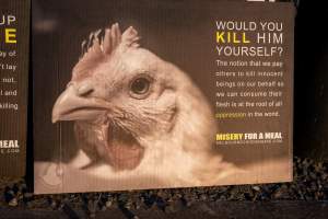 Melbourne Chicken Save Vigil - April 2025 - Memorial vigil in loving memory of Liz Dealey founder of Melbourne Chicken Save and Melbourne Chicken Rescue. - Captured at La Ionica Poultry, Thomastown VIC Australia.