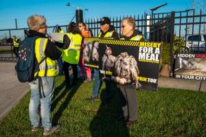 Melbourne Chicken Save Vigil - April 2025 - Memorial vigil in loving memory of Liz Dealey founder of Melbourne Chicken Save and Melbourne Chicken Rescue. - Captured at La Ionica Poultry, Thomastown VIC Australia.