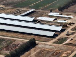 Drone flyover of Calmo Dairy - Captured at Calmo Farms, Calivil VIC Australia.