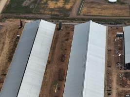 Drone flyover of zero graze sheds - Captured at Calmo Farms, Calivil VIC Australia.
