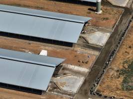 Drone flyover of zero graze sheds - Captured at Calmo Farms, Calivil VIC Australia.