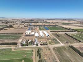 Drone flyover of Calmo dairy - Captured at Calmo Farms, Calivil VIC Australia.