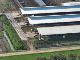 Drone flyover of Calmo dairy - Captured at Calmo Farms, Calivil VIC Australia.