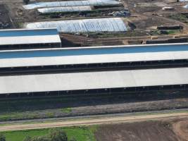 Drone flyover of zero graze sheds - Captured at Calmo Farms, Calivil VIC Australia.