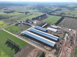 Drone flyover of Calmo dairy - Captured at Calmo Farms, Calivil VIC Australia.