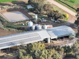 Drone flyover of milking shed - Captured at Calmo Farms, Calivil VIC Australia.