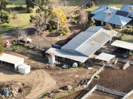 Drone flyover of calf sheds - Within 24 hours of birth, calves are removed from their mothers and moved to a separate pen. Female calves will be raised as replacement milkers, while male calves and any surplus females will be sent to slaughter at just five days old. - Captured at Calmo Farms, Calivil VIC Australia.