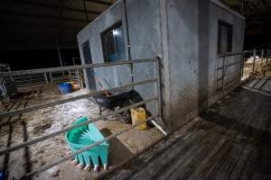 Calf and maternity pens - Captured at Vinnicombe dairy farm, Calivil VIC Australia.
