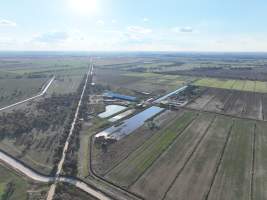 Drone flyover of Vinnicombe dairy - Captured at Vinnicombe dairy farm, Calivil VIC Australia.