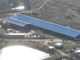 Drone flyover of Vinnicombe dairy - Captured at Vinnicombe dairy farm, Calivil VIC Australia.