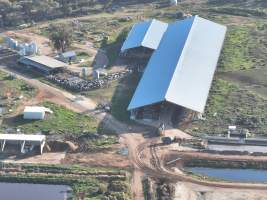 Drone flyover of Vinnicombe dairy - Captured at Vinnicombe dairy farm, Calivil VIC Australia.