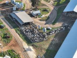 Drone flyover of Vinnicombe dairy - Captured at Vinnicombe dairy farm, Calivil VIC Australia.