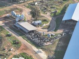 Drone flyover of Vinnicombe dairy - Captured at Vinnicombe dairy farm, Calivil VIC Australia.