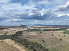 Drone flyover of Moxey Dairy - Moxey Farms is the first and largest property operated by Australian Fresh Milk Holdings (AFMH). It is also the largest single-site dairy in the country, housing and milking thousands of cows across nine freestall barns and three milking parlours, plus a maternity shed, feed centre and hospital. AFMH is the country’s biggest dairy farming operator.
At any given time, Moxey Dairy houses 11,000 cows and is milking 5,500 of those cows each day, producing 40 litres of milk per cow per day. Annually, the farm produces 80 million litres of milk, or 220,000 litres per day.
- Captured at Moxey Dairy, Paytens Bridge NSW Australia.