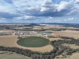 Drone flyover of Moxey Dairy - Moxey Farms is the first and largest property operated by Australian Fresh Milk Holdings (AFMH). It is also the largest single-site dairy in the country, housing and milking thousands of cows across nine freestall barns and three milking parlours, plus a maternity shed, feed centre and hospital. AFMH is the country’s biggest dairy farming operator.
At any given time, Moxey Dairy houses 11,000 cows and is milking 5,500 of those cows each day, producing 40 litres of milk per cow per day. Annually, the farm produces 80 million litres of milk, or 220,000 litres per day.
- Captured at Moxey Dairy, Paytens Bridge NSW Australia.