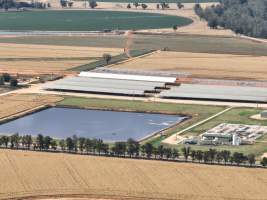 Drone flyover of Moxey Dairy - Moxey Farms is the first and largest property operated by Australian Fresh Milk Holdings (AFMH). It is also the largest single-site dairy in the country, housing and milking thousands of cows across nine freestall barns and three milking parlours, plus a maternity shed, feed centre and hospital. AFMH is the country’s biggest dairy farming operator.
At any given time, Moxey Dairy houses 11,000 cows and is milking 5,500 of those cows each day, producing 40 litres of milk per cow per day. Annually, the farm produces 80 million litres of milk, or 220,000 litres per day.
- Captured at Moxey Dairy, Paytens Bridge NSW Australia.