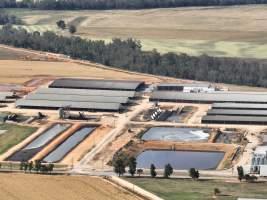 Drone flyover of Moxey Dairy - Moxey Farms is the first and largest property operated by Australian Fresh Milk Holdings (AFMH). It is also the largest single-site dairy in the country, housing and milking thousands of cows across nine freestall barns and three milking parlours, plus a maternity shed, feed centre and hospital. AFMH is the country’s biggest dairy farming operator.
At any given time, Moxey Dairy houses 11,000 cows and is milking 5,500 of those cows each day, producing 40 litres of milk per cow per day. Annually, the farm produces 80 million litres of milk, or 220,000 litres per day.
- Captured at Moxey Dairy, Paytens Bridge NSW Australia.