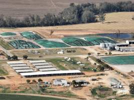 Drone flyover of Moxey Dairy - Moxey Farms is the first and largest property operated by Australian Fresh Milk Holdings (AFMH). It is also the largest single-site dairy in the country, housing and milking thousands of cows across nine freestall barns and three milking parlours, plus a maternity shed, feed centre and hospital. AFMH is the country’s biggest dairy farming operator.
At any given time, Moxey Dairy houses 11,000 cows and is milking 5,500 of those cows each day, producing 40 litres of milk per cow per day. Annually, the farm produces 80 million litres of milk, or 220,000 litres per day.
- Captured at Moxey Dairy, Paytens Bridge NSW Australia.