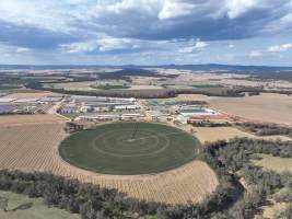 Drone flyover of Moxey Dairy - Moxey Farms is the first and largest property operated by Australian Fresh Milk Holdings (AFMH). It is also the largest single-site dairy in the country, housing and milking thousands of cows across nine freestall barns and three milking parlours, plus a maternity shed, feed centre and hospital. AFMH is the country’s biggest dairy farming operator.
At any given time, Moxey Dairy houses 11,000 cows and is milking 5,500 of those cows each day, producing 40 litres of milk per cow per day. Annually, the farm produces 80 million litres of milk, or 220,000 litres per day.
- Captured at Moxey Dairy, Paytens Bridge NSW Australia.