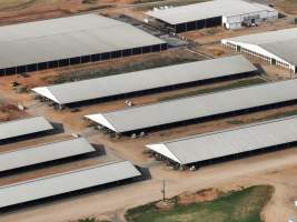Drone flyover of Moxey Dairy - Moxey Farms is the first and largest property operated by Australian Fresh Milk Holdings (AFMH). It is also the largest single-site dairy in the country, housing and milking thousands of cows across nine freestall barns and three milking parlours, plus a maternity shed, feed centre and hospital. AFMH is the country’s biggest dairy farming operator.
At any given time, Moxey Dairy houses 11,000 cows and is milking 5,500 of those cows each day, producing 40 litres of milk per cow per day. Annually, the farm produces 80 million litres of milk, or 220,000 litres per day.
- Captured at Moxey Dairy, Paytens Bridge NSW Australia.