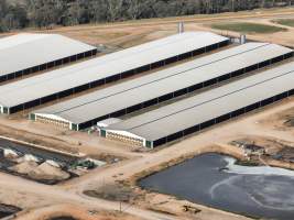 Drone flyover of Moxey Dairy - Moxey Farms is the first and largest property operated by Australian Fresh Milk Holdings (AFMH). It is also the largest single-site dairy in the country, housing and milking thousands of cows across nine freestall barns and three milking parlours, plus a maternity shed, feed centre and hospital. AFMH is the country’s biggest dairy farming operator.
At any given time, Moxey Dairy houses 11,000 cows and is milking 5,500 of those cows each day, producing 40 litres of milk per cow per day. Annually, the farm produces 80 million litres of milk, or 220,000 litres per day.
- Captured at Moxey Dairy, Paytens Bridge NSW Australia.