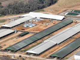 Drone flyover of Moxey Dairy - Moxey Farms is the first and largest property operated by Australian Fresh Milk Holdings (AFMH). It is also the largest single-site dairy in the country, housing and milking thousands of cows across nine freestall barns and three milking parlours, plus a maternity shed, feed centre and hospital. AFMH is the country’s biggest dairy farming operator.
At any given time, Moxey Dairy houses 11,000 cows and is milking 5,500 of those cows each day, producing 40 litres of milk per cow per day. Annually, the farm produces 80 million litres of milk, or 220,000 litres per day.
- Captured at Moxey Dairy, Paytens Bridge NSW Australia.