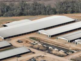 Drone flyover of Moxey Dairy - Moxey Farms is the first and largest property operated by Australian Fresh Milk Holdings (AFMH). It is also the largest single-site dairy in the country, housing and milking thousands of cows across nine freestall barns and three milking parlours, plus a maternity shed, feed centre and hospital. AFMH is the country’s biggest dairy farming operator.
At any given time, Moxey Dairy houses 11,000 cows and is milking 5,500 of those cows each day, producing 40 litres of milk per cow per day. Annually, the farm produces 80 million litres of milk, or 220,000 litres per day.
- Captured at Moxey Dairy, Paytens Bridge NSW Australia.