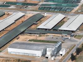 Drone flyover of Moxey Dairy - Moxey Farms is the first and largest property operated by Australian Fresh Milk Holdings (AFMH). It is also the largest single-site dairy in the country, housing and milking thousands of cows across nine freestall barns and three milking parlours, plus a maternity shed, feed centre and hospital. AFMH is the country’s biggest dairy farming operator.
At any given time, Moxey Dairy houses 11,000 cows and is milking 5,500 of those cows each day, producing 40 litres of milk per cow per day. Annually, the farm produces 80 million litres of milk, or 220,000 litres per day.
- Captured at Moxey Dairy, Paytens Bridge NSW Australia.