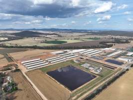 Drone flyover of Moxey Dairy - Moxey Farms is the first and largest property operated by Australian Fresh Milk Holdings (AFMH). It is also the largest single-site dairy in the country, housing and milking thousands of cows across nine freestall barns and three milking parlours, plus a maternity shed, feed centre and hospital. AFMH is the country’s biggest dairy farming operator.
At any given time, Moxey Dairy houses 11,000 cows and is milking 5,500 of those cows each day, producing 40 litres of milk per cow per day. Annually, the farm produces 80 million litres of milk, or 220,000 litres per day.
- Captured at Moxey Dairy, Paytens Bridge NSW Australia.