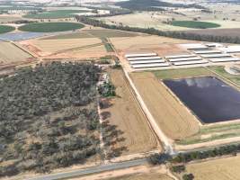 Drone flyover of Moxey Dairy - Moxey Farms is the first and largest property operated by Australian Fresh Milk Holdings (AFMH). It is also the largest single-site dairy in the country, housing and milking thousands of cows across nine freestall barns and three milking parlours, plus a maternity shed, feed centre and hospital. AFMH is the country’s biggest dairy farming operator.
At any given time, Moxey Dairy houses 11,000 cows and is milking 5,500 of those cows each day, producing 40 litres of milk per cow per day. Annually, the farm produces 80 million litres of milk, or 220,000 litres per day.
- Captured at Moxey Dairy, Paytens Bridge NSW Australia.