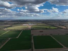 Drone flyover - AFMH Coomboona (breeding) - Located 30km northwest of Shepparton, Coomboona Farms is AFMH’s first Victorian dairy property. Coomboona was formerly owned by billionaire Gerry Harvey, before being bought by AFMH, which is a partnership between the Moxey and Perick families.
The property has the capacity to milk over 2500 cows, and produce 30 million litres of milk annually. Cows are housed in freestall barns and milked in a commercial rotary dairy. The dairy is split between two locations, with one acting as a breeding, maternity and nursing facility and the other housing milking cows.
- Captured at AFMH Coomboona Farms Module 2 (Breeding), Coomboona VIC Australia.
