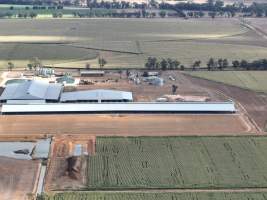 Drone flyover - AFMH Coomboona (breeding) - Located 30km northwest of Shepparton, Coomboona Farms is AFMH’s first Victorian dairy property. Coomboona was formerly owned by billionaire Gerry Harvey, before being bought by AFMH, which is a partnership between the Moxey and Perick families.
The property has the capacity to milk over 2500 cows, and produce 30 million litres of milk annually. Cows are housed in freestall barns and milked in a commercial rotary dairy. The dairy is split between two locations, with one acting as a breeding, maternity and nursing facility and the other housing milking cows. - Captured at AFMH Coomboona Farms Module 2 (Breeding), Coomboona VIC Australia.