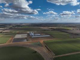 Drone flyover - AFMH Coomboona (breeding) - Located 30km northwest of Shepparton, Coomboona Farms is AFMH’s first Victorian dairy property. Coomboona was formerly owned by billionaire Gerry Harvey, before being bought by AFMH, which is a partnership between the Moxey and Perick families.
The property has the capacity to milk over 2500 cows, and produce 30 million litres of milk annually. Cows are housed in freestall barns and milked in a commercial rotary dairy. The dairy is split between two locations, with one acting as a breeding, maternity and nursing facility and the other housing milking cows. - Captured at AFMH Coomboona Farms Module 2 (Breeding), Coomboona VIC Australia.