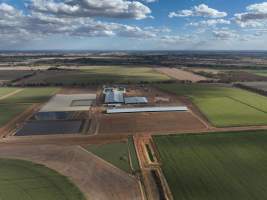 Drone flyover - AFMH Coomboona (breeding) - Located 30km northwest of Shepparton, Coomboona Farms is AFMH’s first Victorian dairy property. Coomboona was formerly owned by billionaire Gerry Harvey, before being bought by AFMH, which is a partnership between the Moxey and Perick families.
The property has the capacity to milk over 2500 cows, and produce 30 million litres of milk annually. Cows are housed in freestall barns and milked in a commercial rotary dairy. The dairy is split between two locations, with one acting as a breeding, maternity and nursing facility and the other housing milking cows. - Captured at AFMH Coomboona Farms Module 2 (Breeding), Coomboona VIC Australia.