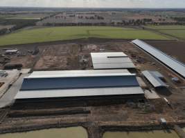 Drone flyover - AFMH Coomboona (breeding) - Located 30km northwest of Shepparton, Coomboona Farms is AFMH’s first Victorian dairy property. Coomboona was formerly owned by billionaire Gerry Harvey, before being bought by AFMH, which is a partnership between the Moxey and Perick families.
The property has the capacity to milk over 2500 cows, and produce 30 million litres of milk annually. Cows are housed in freestall barns and milked in a commercial rotary dairy. The dairy is split between two locations, with one acting as a breeding, maternity and nursing facility and the other housing milking cows. - Captured at AFMH Coomboona Farms Module 2 (Breeding), Coomboona VIC Australia.