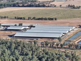 Drone Flyover - AFMH Coomboona (milking) - Located 30km northwest of Shepparton, Coomboona Farms is AFMH’s first Victorian dairy property. Coomboona was formerly owned by billionaire Gerry Harvey, before being bought by AFMH, which is a partnership between the Moxey and Perick families. 

The property has the capacity to milk over 2500 cows, and produce 30 million litres of milk annually. Cows are housed in freestall barns and milked in a commercial rotary dairy. The dairy is split between two locations, with one acting as a breeding, maternity and nursing facility and the other housing milking cows. - Captured at AFMH Coomboona Farms - Module 1 (milking), Coomboona VIC Australia.
