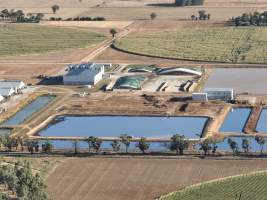 Drone Flyover - AFMH Coomboona (milking) - Located 30km northwest of Shepparton, Coomboona Farms is AFMH’s first Victorian dairy property. Coomboona was formerly owned by billionaire Gerry Harvey, before being bought by AFMH, which is a partnership between the Moxey and Perick families.
The property has the capacity to milk over 2500 cows, and produce 30 million litres of milk annually. Cows are housed in freestall barns and milked in a commercial rotary dairy. The dairy is split between two locations, with one acting as a breeding, maternity and nursing facility and the other housing milking cows. - Captured at AFMH Coomboona Farms - Module 1 (milking), Coomboona VIC Australia.