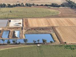 Drone Flyover - AFMH Coomboona (milking) - Located 30km northwest of Shepparton, Coomboona Farms is AFMH’s first Victorian dairy property. Coomboona was formerly owned by billionaire Gerry Harvey, before being bought by AFMH, which is a partnership between the Moxey and Perick families.
The property has the capacity to milk over 2500 cows, and produce 30 million litres of milk annually. Cows are housed in freestall barns and milked in a commercial rotary dairy. The dairy is split between two locations, with one acting as a breeding, maternity and nursing facility and the other housing milking cows. - Captured at AFMH Coomboona Farms - Module 1 (milking), Coomboona VIC Australia.